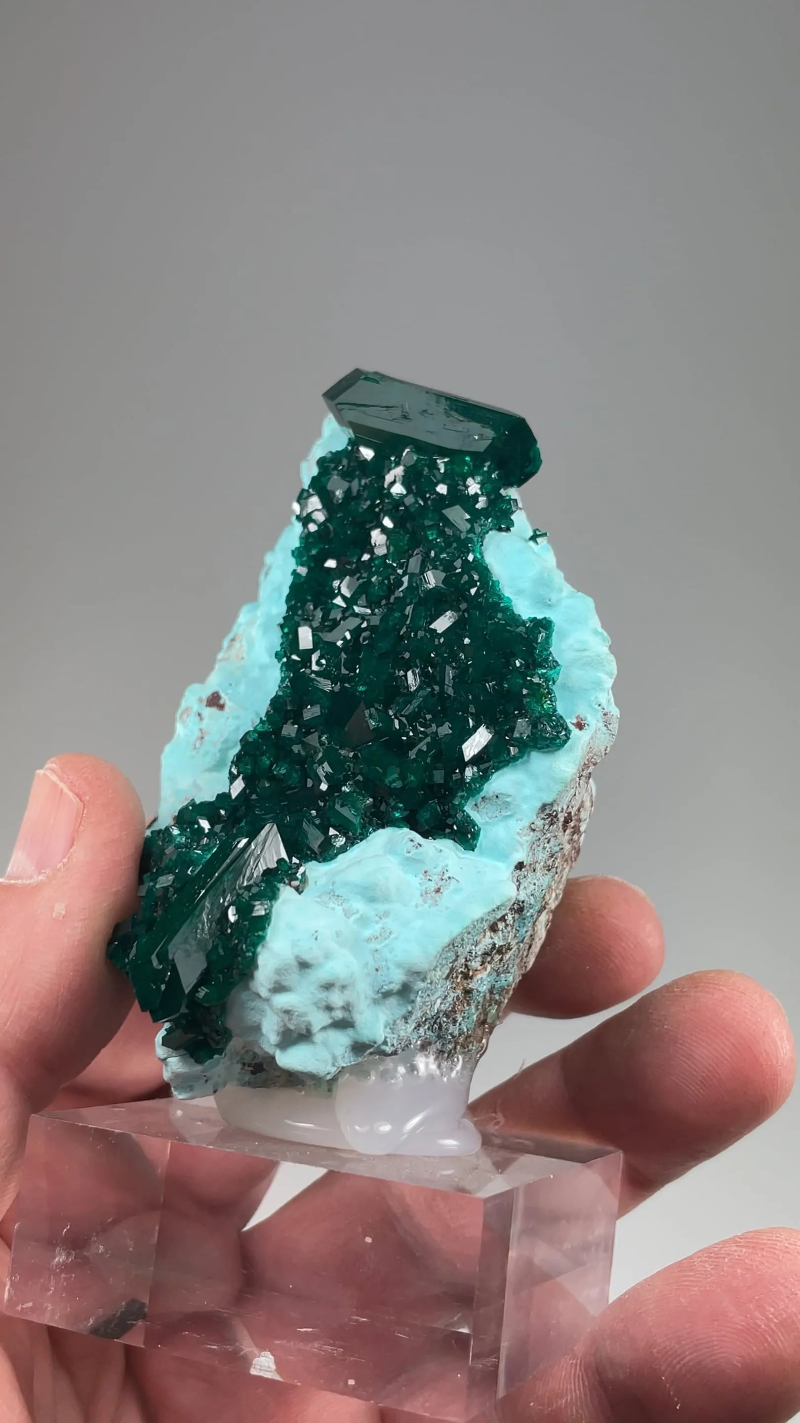 Dioptase with Chrysocolla - image 2