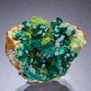 DIOPTASE with DUFTITE - image 1