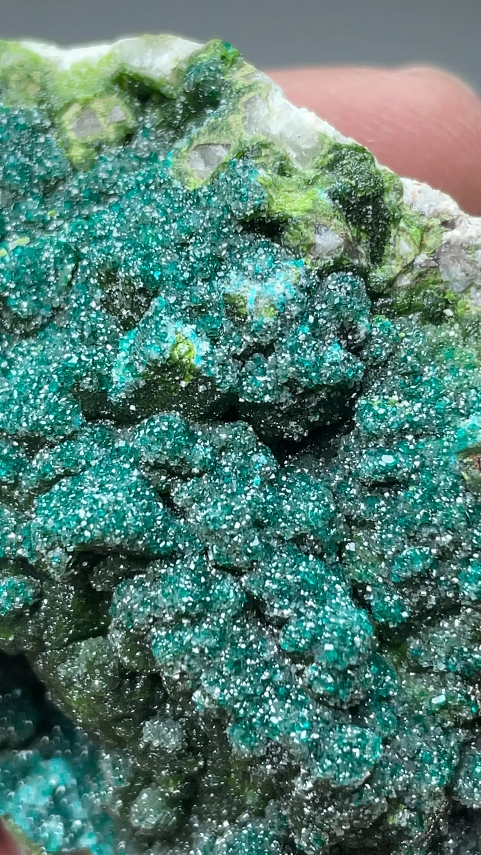 Dioptase with Duftite, Calcite - image 2