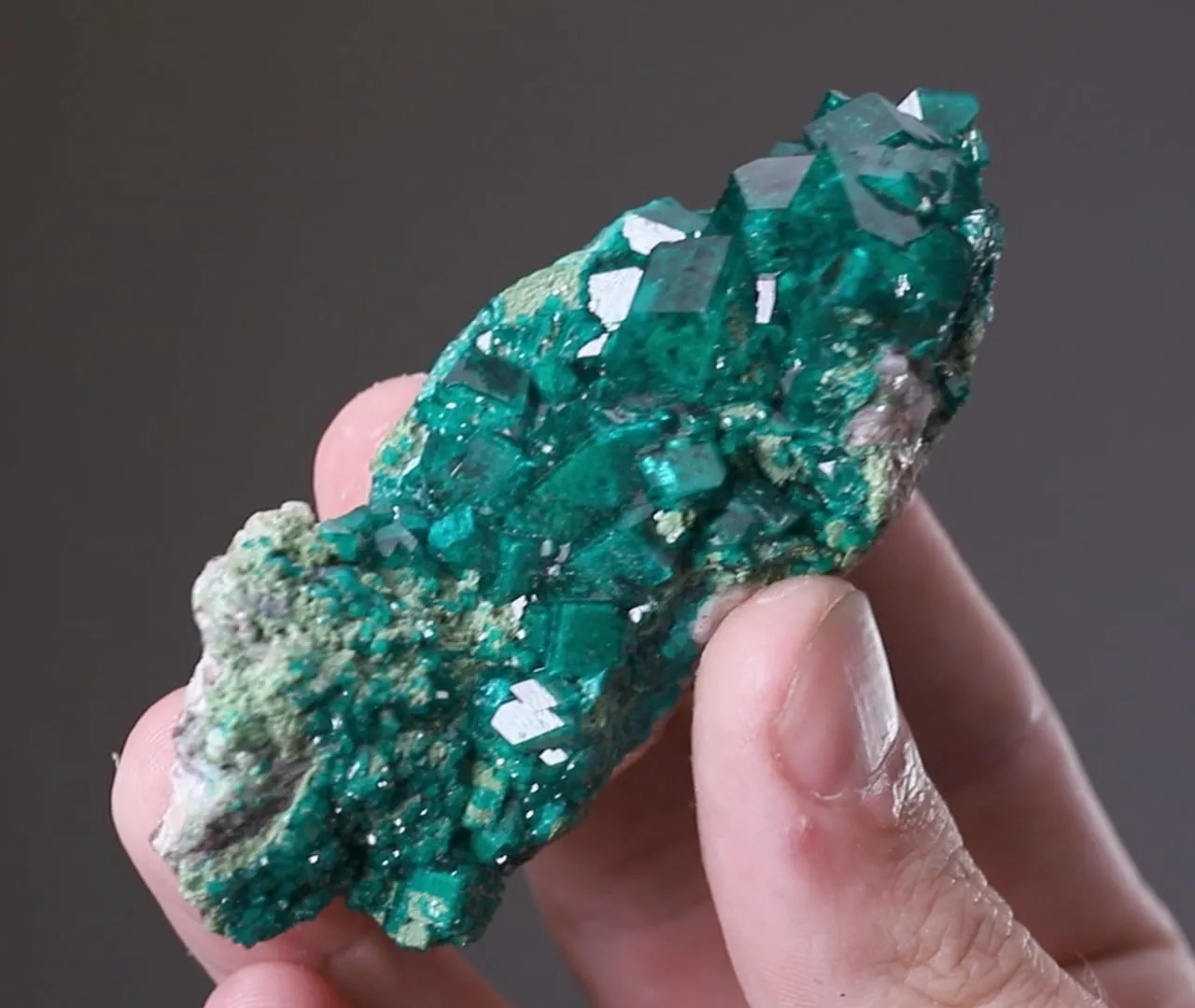 Dioptase with Duftite-Conichalcite - image 2
