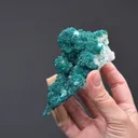 Dioptase with Duftite on Calcite - image 2