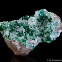 Dioptase with Duftite on Calcite - image 6