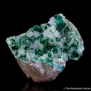 Dioptase with Duftite on Calcite - image 8