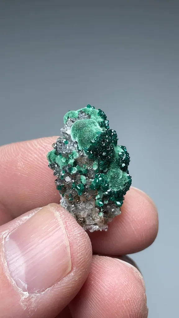 Dioptase with Malachite, Calcite - image 2