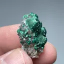 Dioptase with Malachite, Calcite - image 2