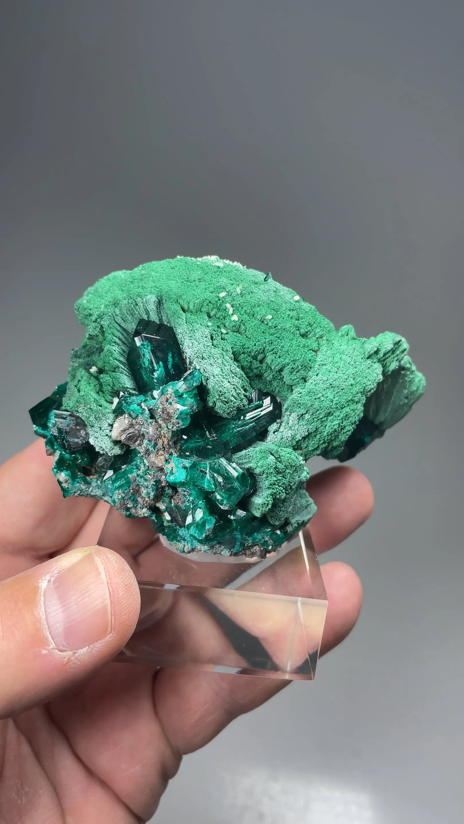 Dioptase with Malachite, Cerussite - image 2