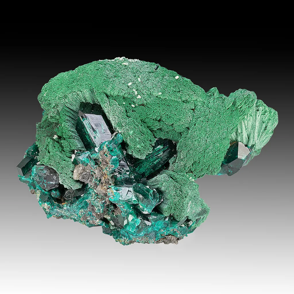 Dioptase with Malachite, Cerussite image