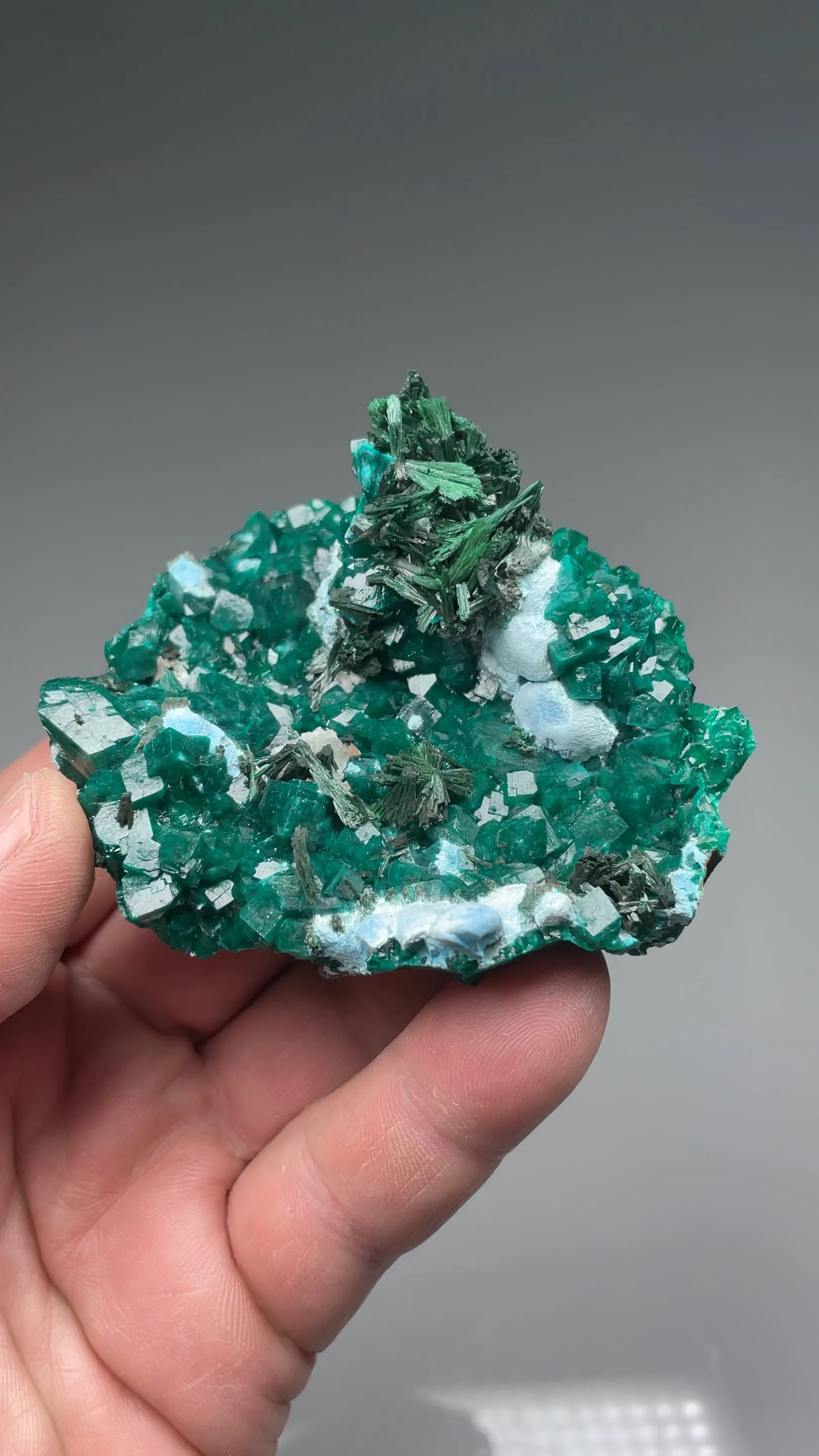 Dioptase with Malachite, Chrysocolla - image 2