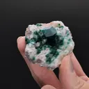 DIOPTASE with MALACHITE on CALCITE - image 2