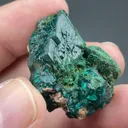 Dioptase with Malachite pseudomorph - image 2