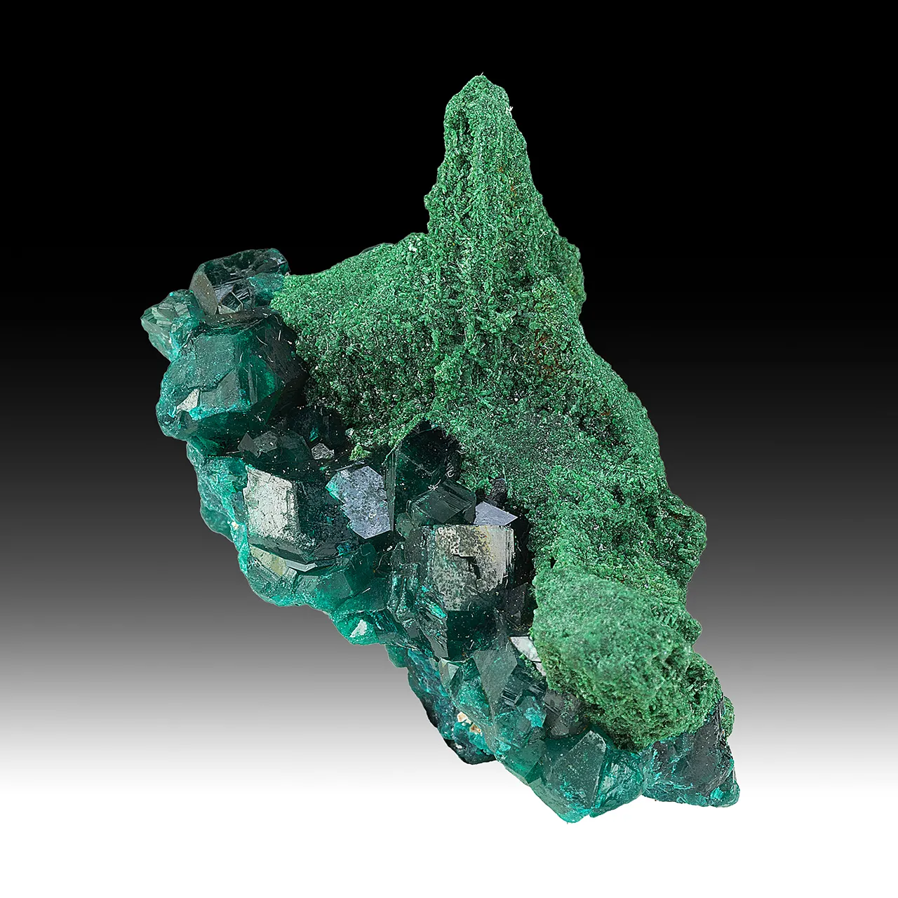 Dioptase with Malachite pseudomorph - image 1