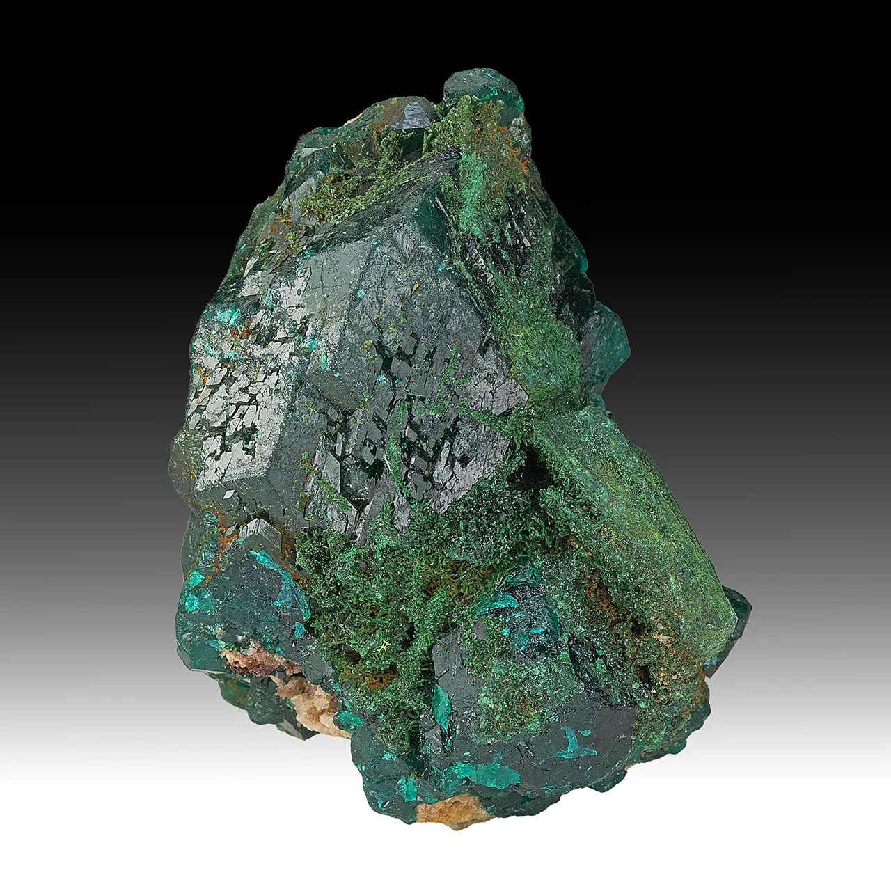 Dioptase with Malachite pseudomorph - image 1
