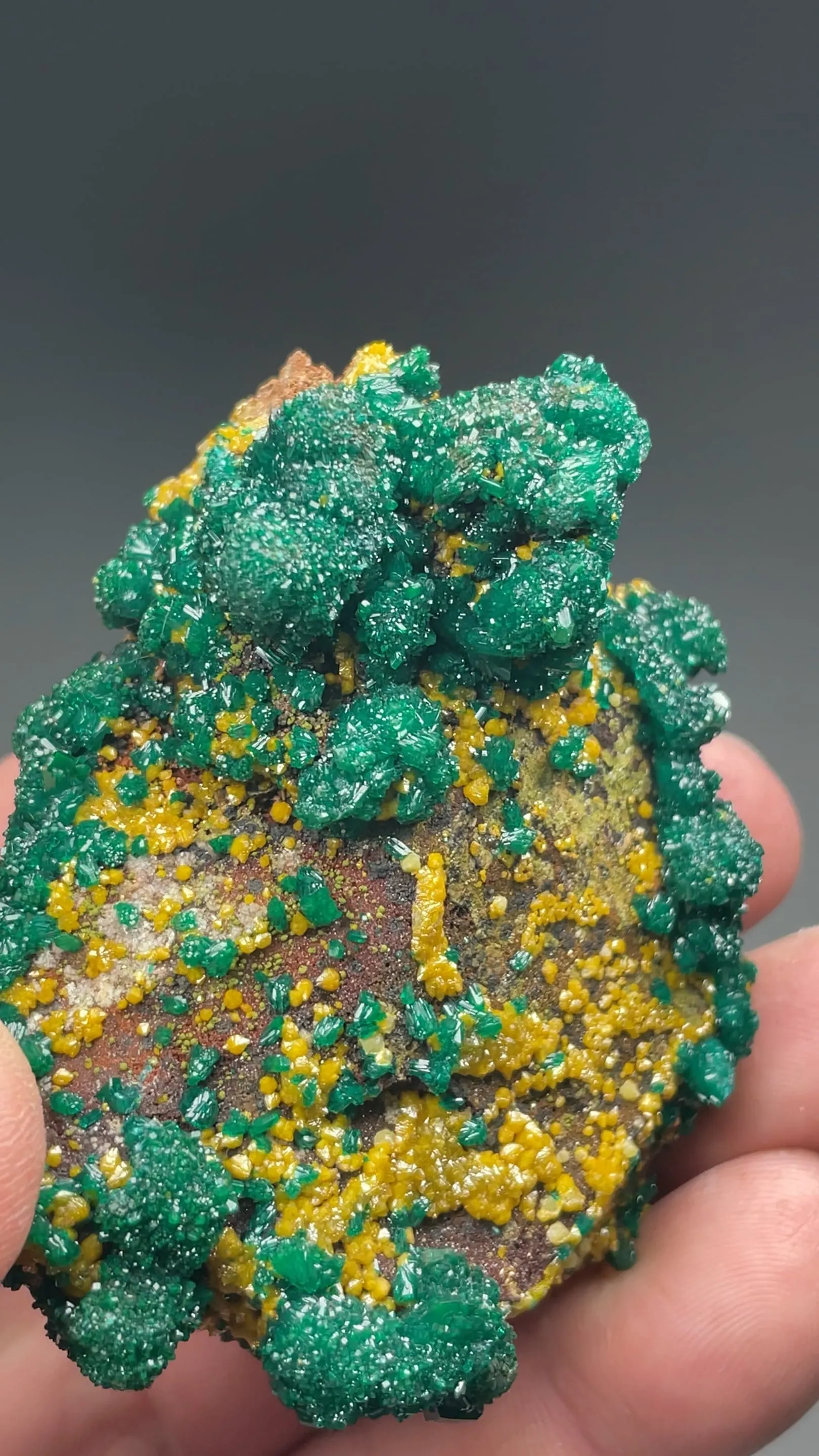 Dioptase with Mimetite - image 2