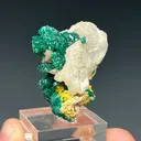 Dioptase with Mimetite and Cerussite - image 2