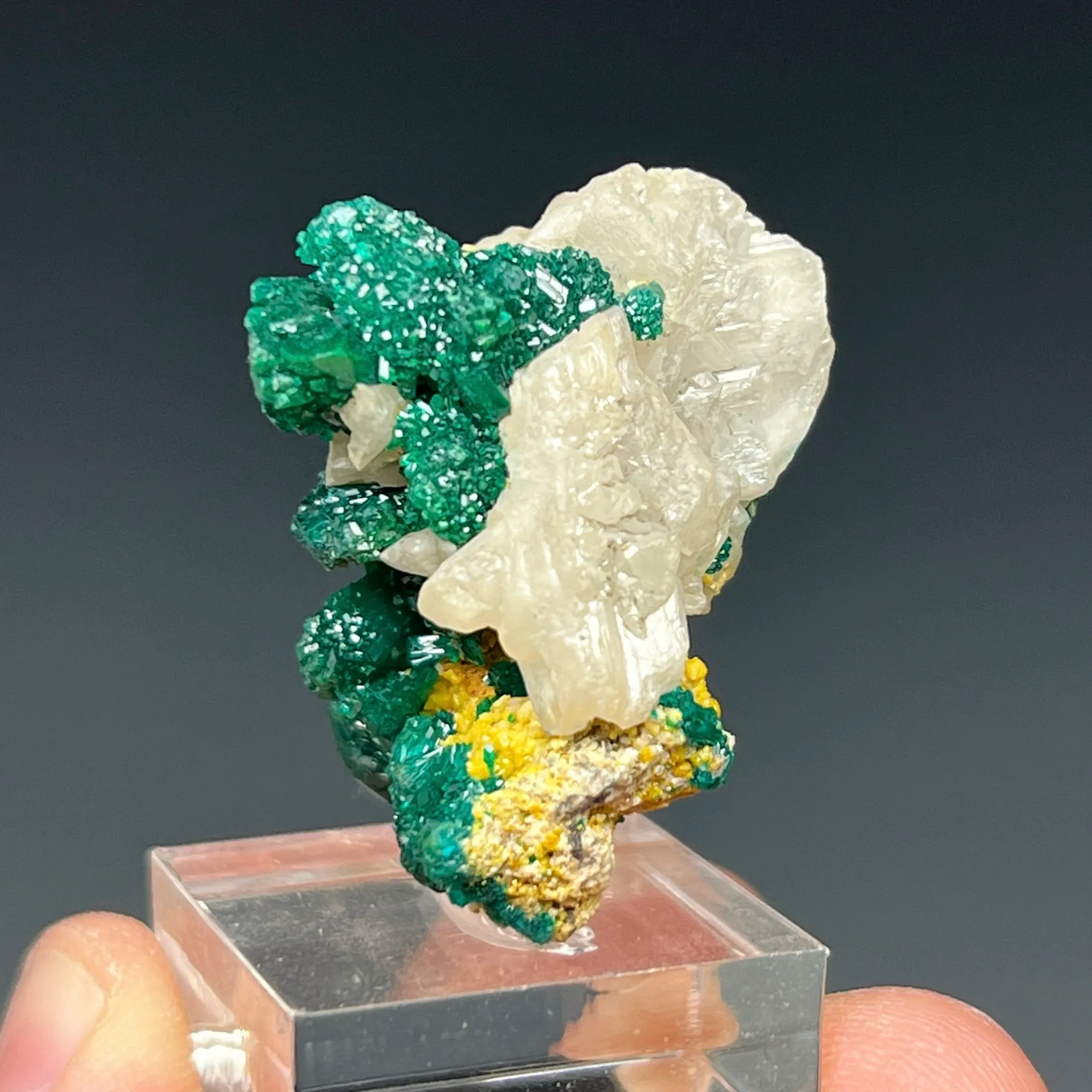 Dioptase with Mimetite and Cerussite - image 2