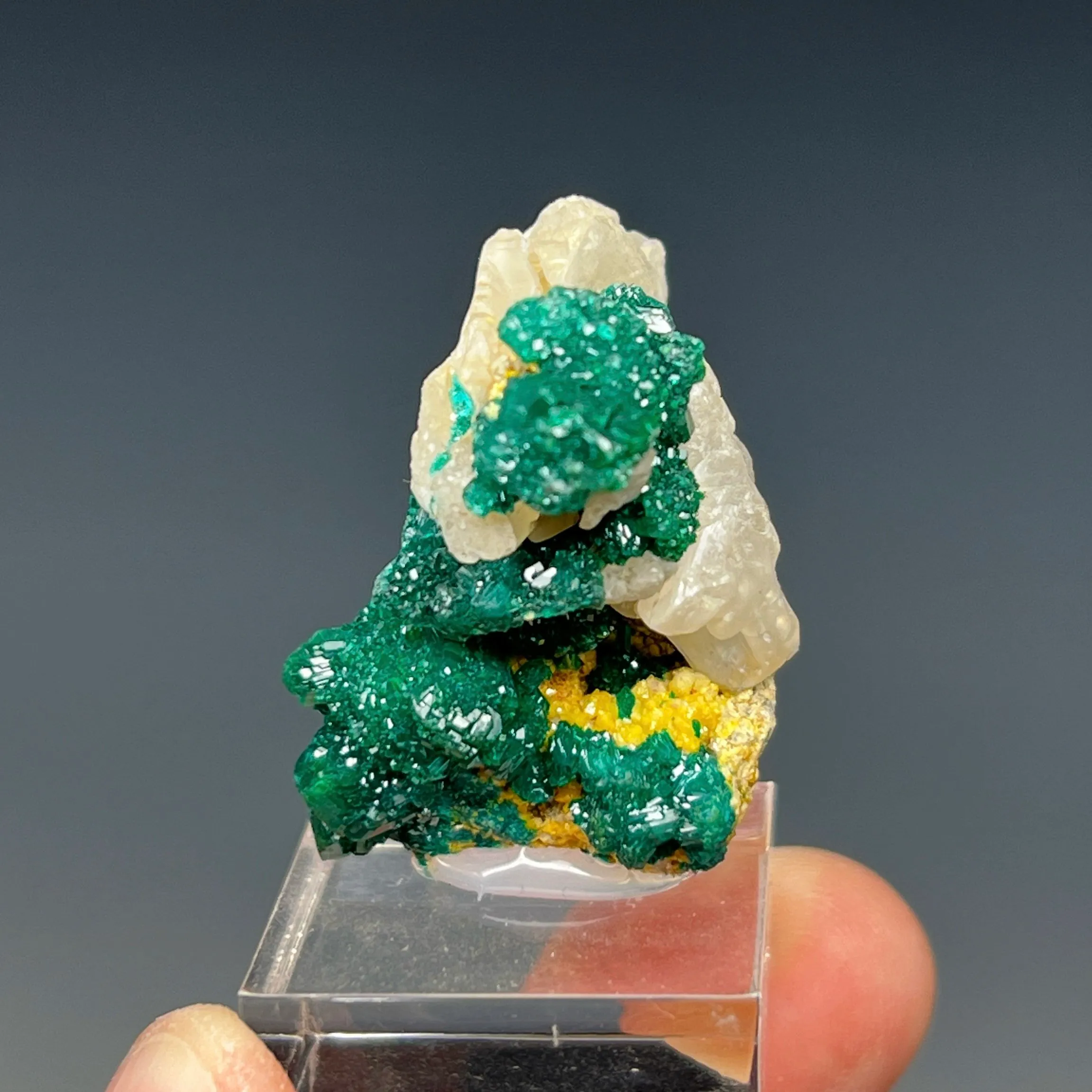 Dioptase with Mimetite and Cerussite - image 4