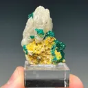 Dioptase with Mimetite and Cerussite - image 5