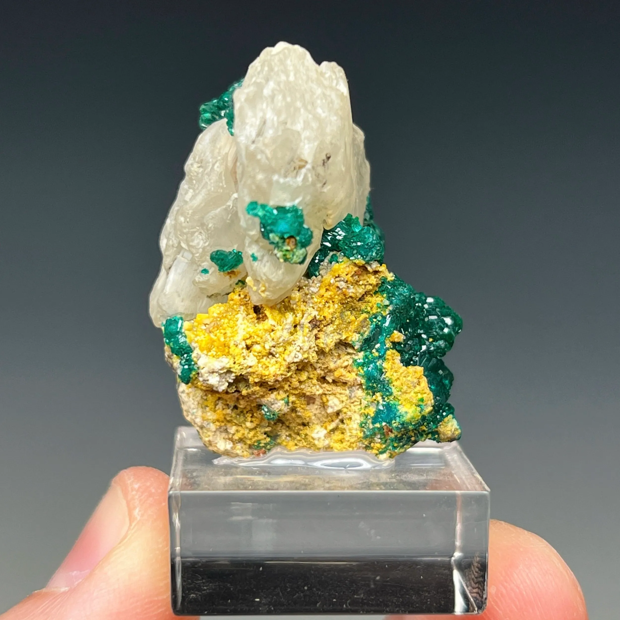 Dioptase with Mimetite and Cerussite - image 5