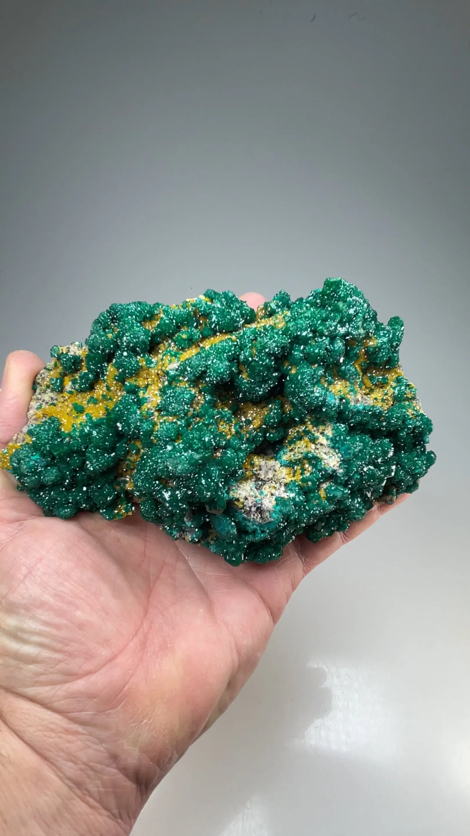Dioptase with Mimetite - image 2