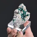 Dioptase with Mimetite on Dolomite - image 2