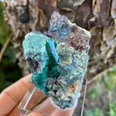 Dioptase with Plancheite - image 5