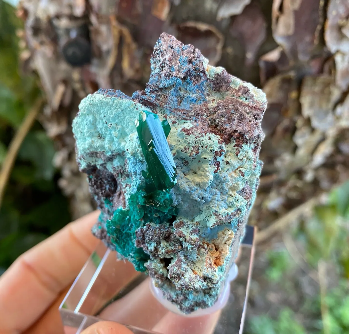 Dioptase with Plancheite - image 5