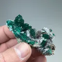 Dioptase with Plancheite - image 2