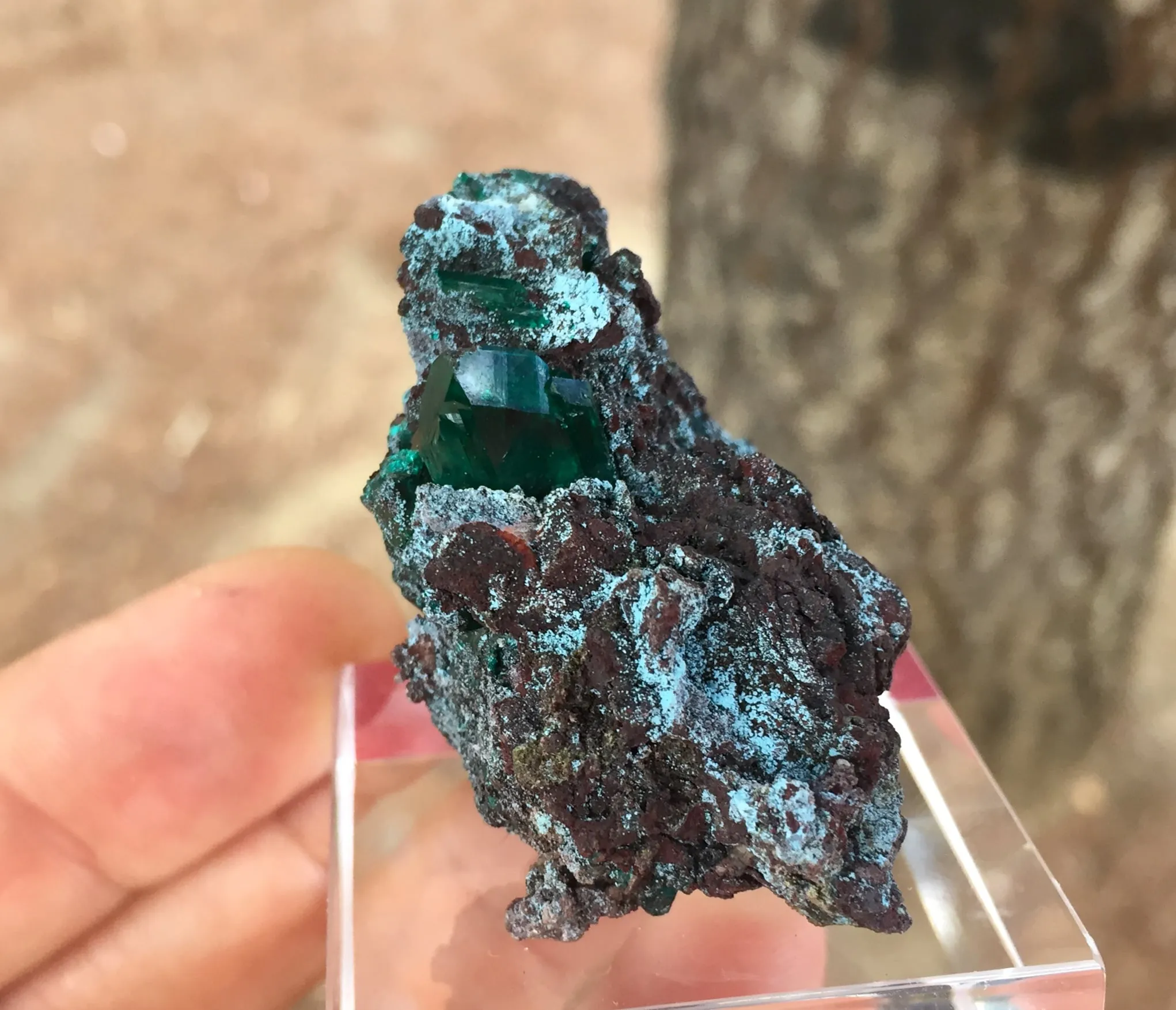 Dioptase with Plancheite - image 5