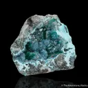 Dioptase with Plancheite, Quartz and Chrysocolla - image 2