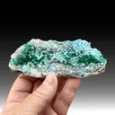 Dioptase with Plancheite, Quartz, Duftite (2261) - image 1