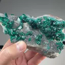 Dioptase with Quartz - image 2