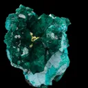 Dioptase with Shattuckite and Chrysocolla - image 3