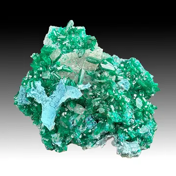 Dioptase with Shattuckite, Quartz