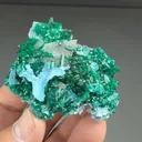 Dioptase with Shattuckite, Quartz - image 2