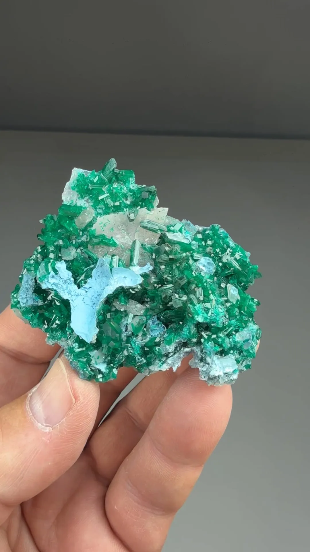 Dioptase with Shattuckite, Quartz - image 2