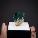 Dioptase with Wulfenite - image 2