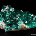 Dioptase with Wulfenite and Molybdofornacite - image 7