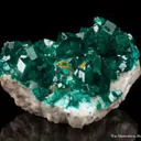 Dioptase with Wulfenite and Molybdofornacite - image 3