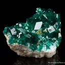 Dioptase with Wulfenite and Molybdofornacite - image 5