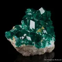 Dioptase with Wulfenite and Molybdofornacite - image 6