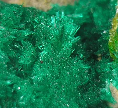 Dioptase, Wulfenite - image 2