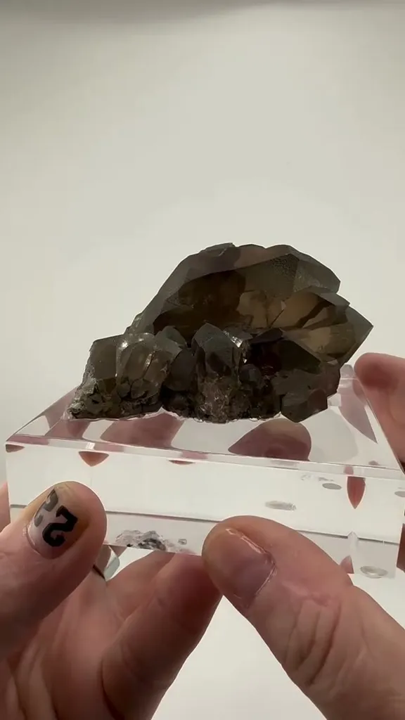 Discover the breathtaking beauty of Smoky Quartz Gwindel Cluster from… image
