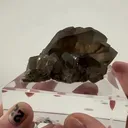 Discover the breathtaking beauty of Smoky Quartz Gwindel Cluster from… - image 1