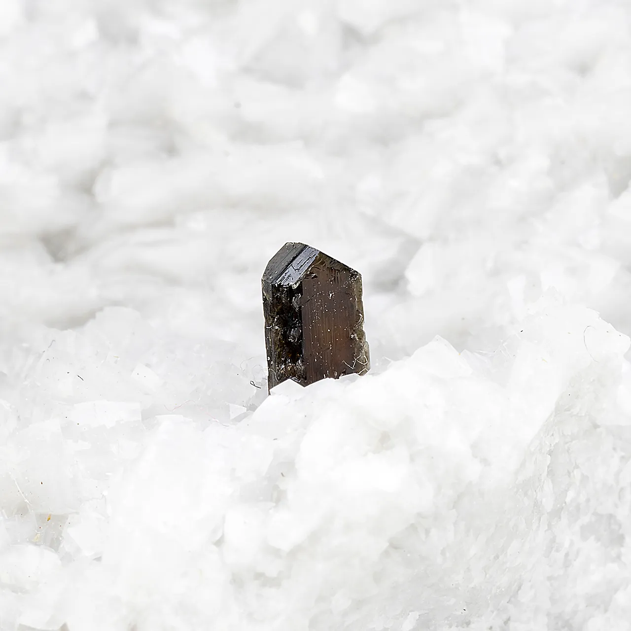 Dissakisite-Ce-Allanite-Ce with Dolomite - image 1