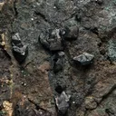 Djurleite - image 2