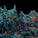 Djurleite and Chalcopyrite - image 5
