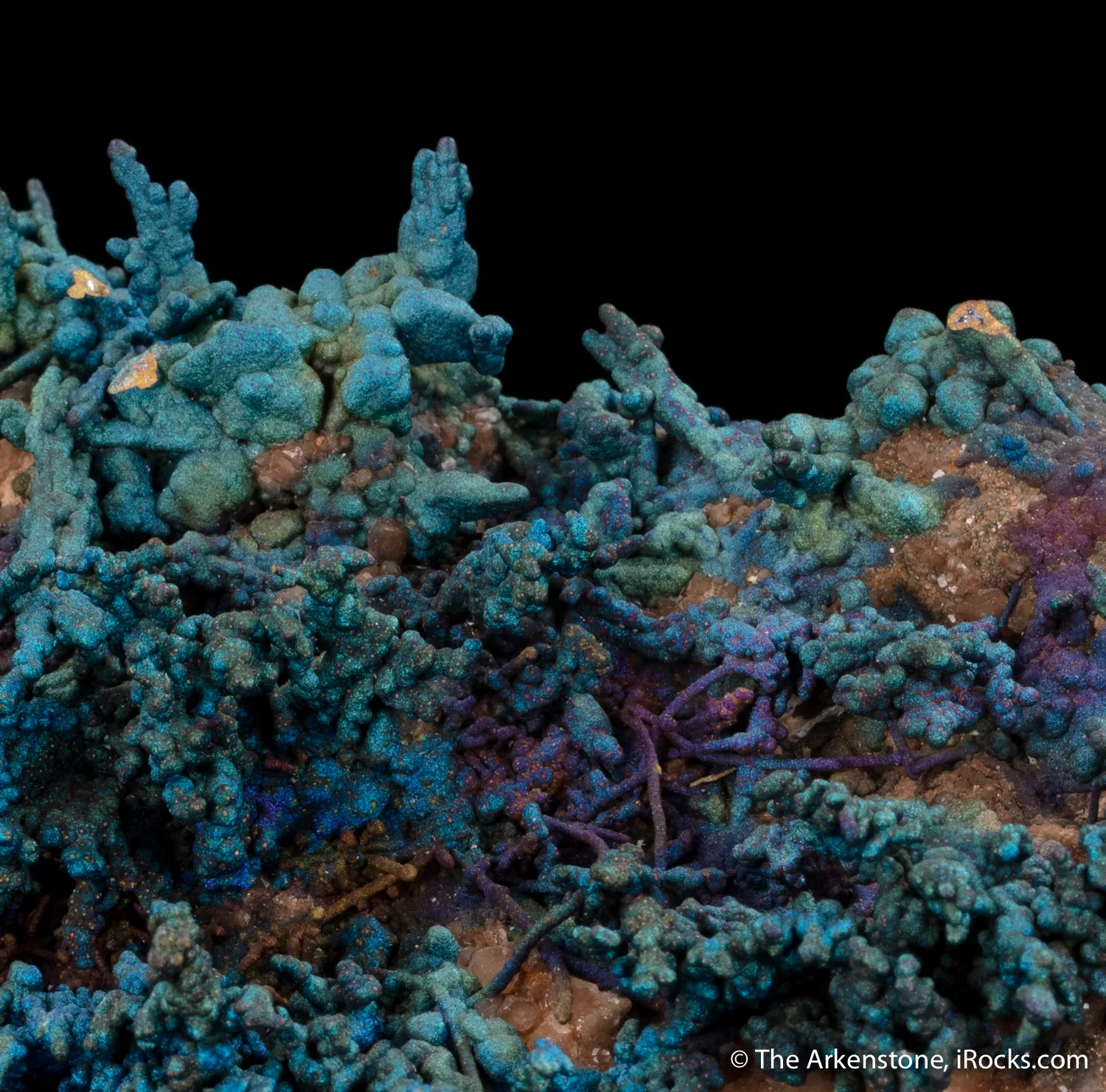 Djurleite and Chalcopyrite - image 5