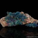 Djurleite and Chalcopyrite - image 6