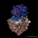 Djurleite, Chalcocite, Chalcopyrite on Calcite - image 4