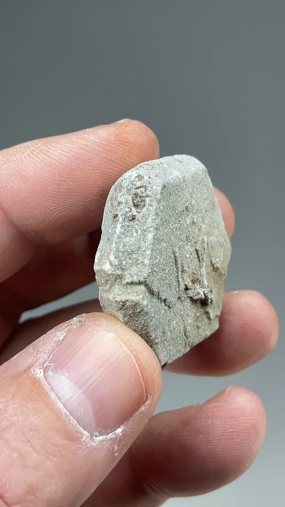 Dolomite after Aragonite - image 2